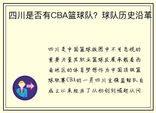 四川是否有CBA篮球队？球队历史沿革